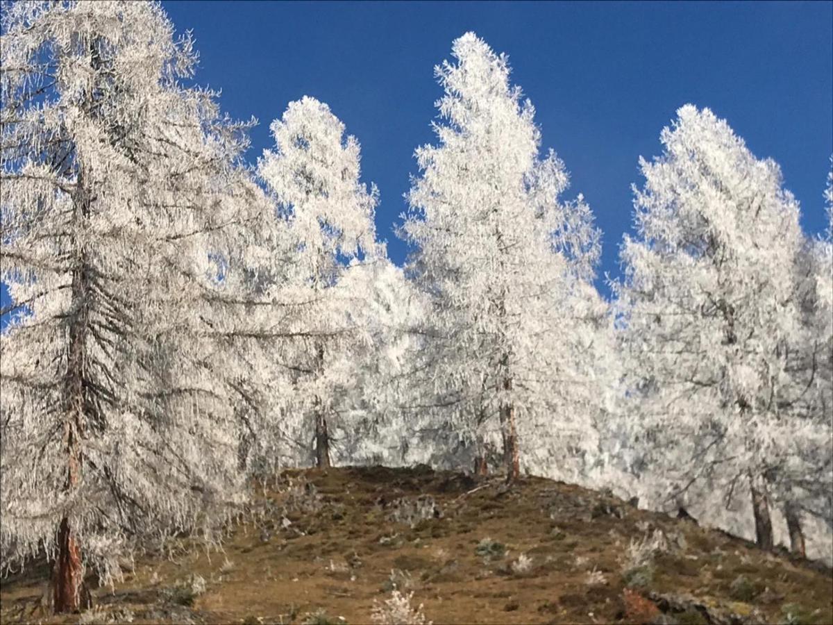 Boutique Hotel Alpenhof Sankt Martin am Tennengebirge Bagian luar foto