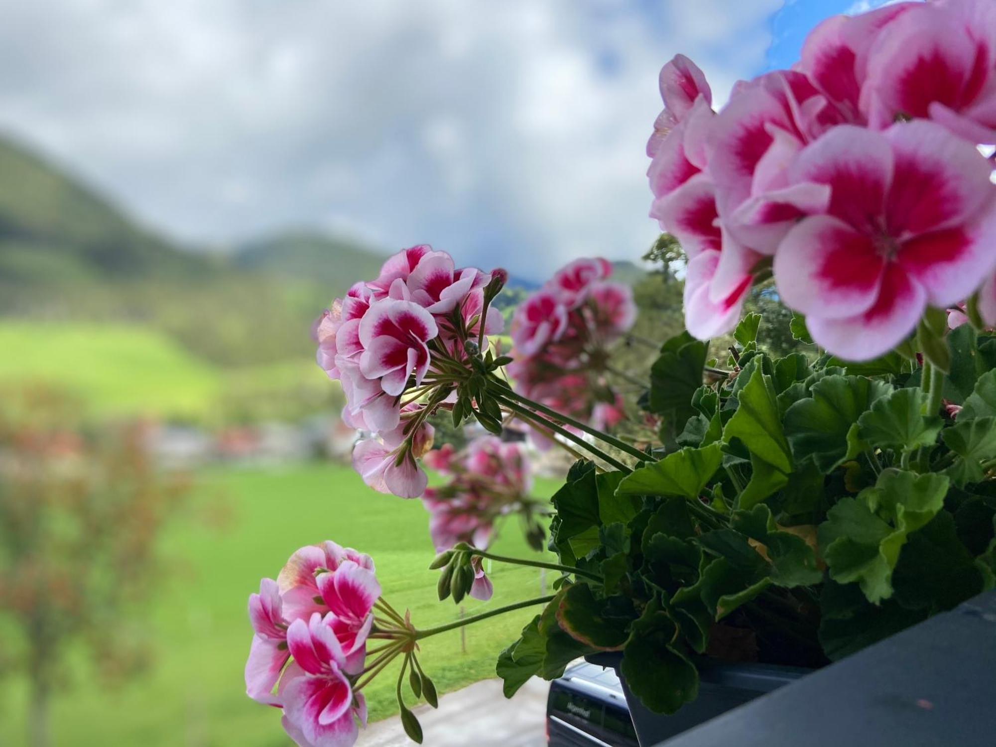 Boutique Hotel Alpenhof Sankt Martin am Tennengebirge Bagian luar foto