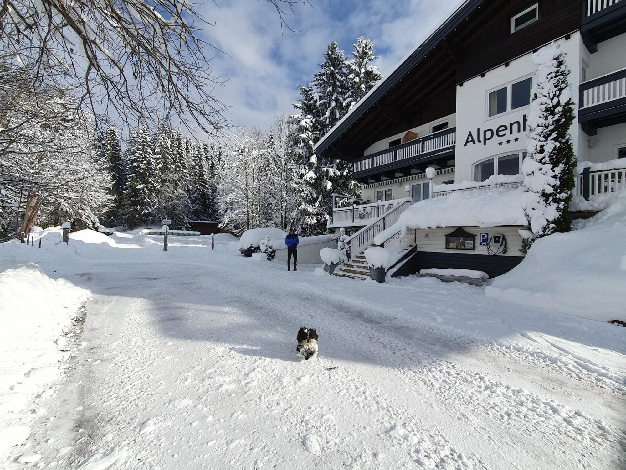 Boutique Hotel Alpenhof Sankt Martin am Tennengebirge Bagian luar foto