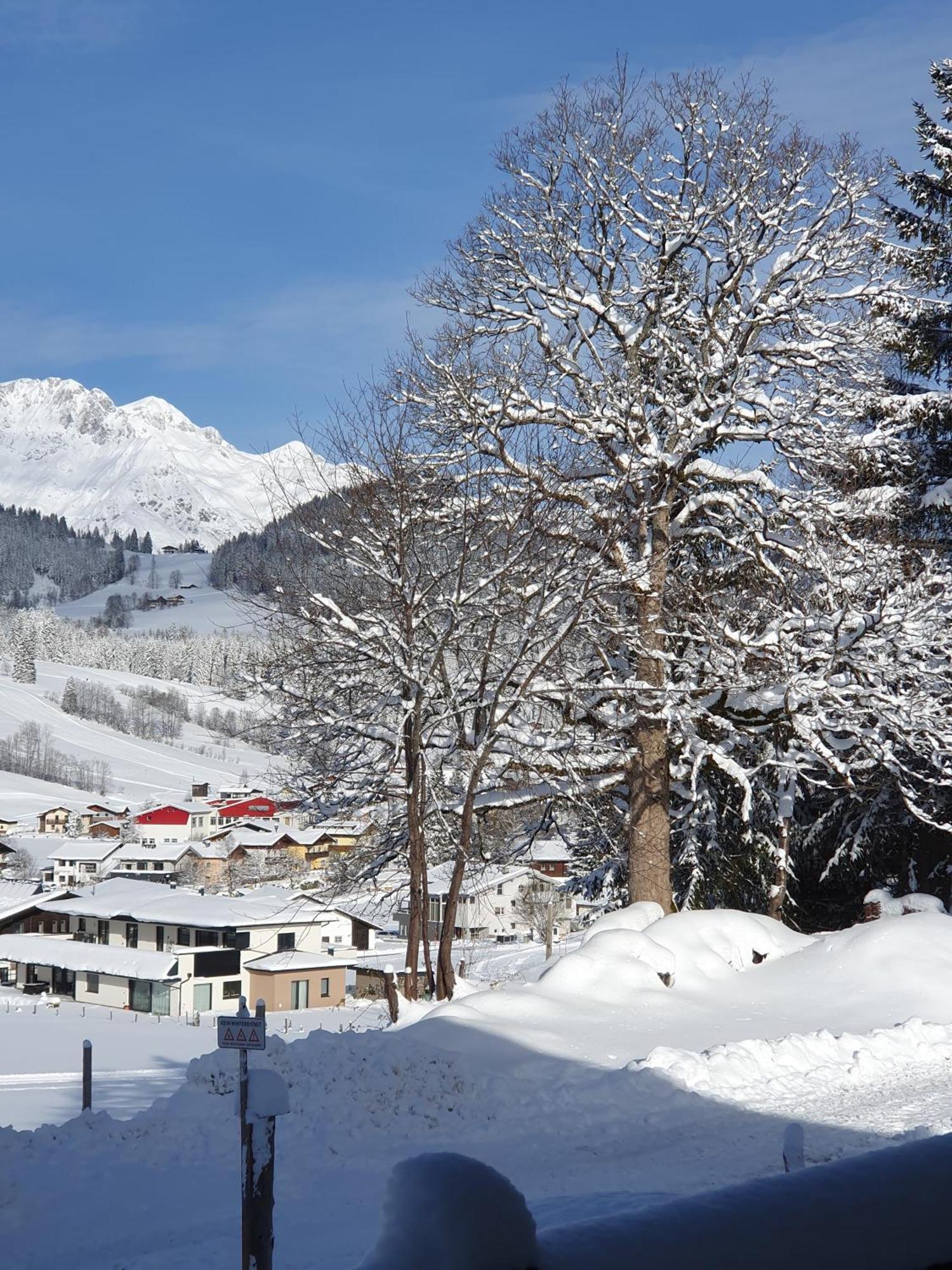 Boutique Hotel Alpenhof Sankt Martin am Tennengebirge Bagian luar foto