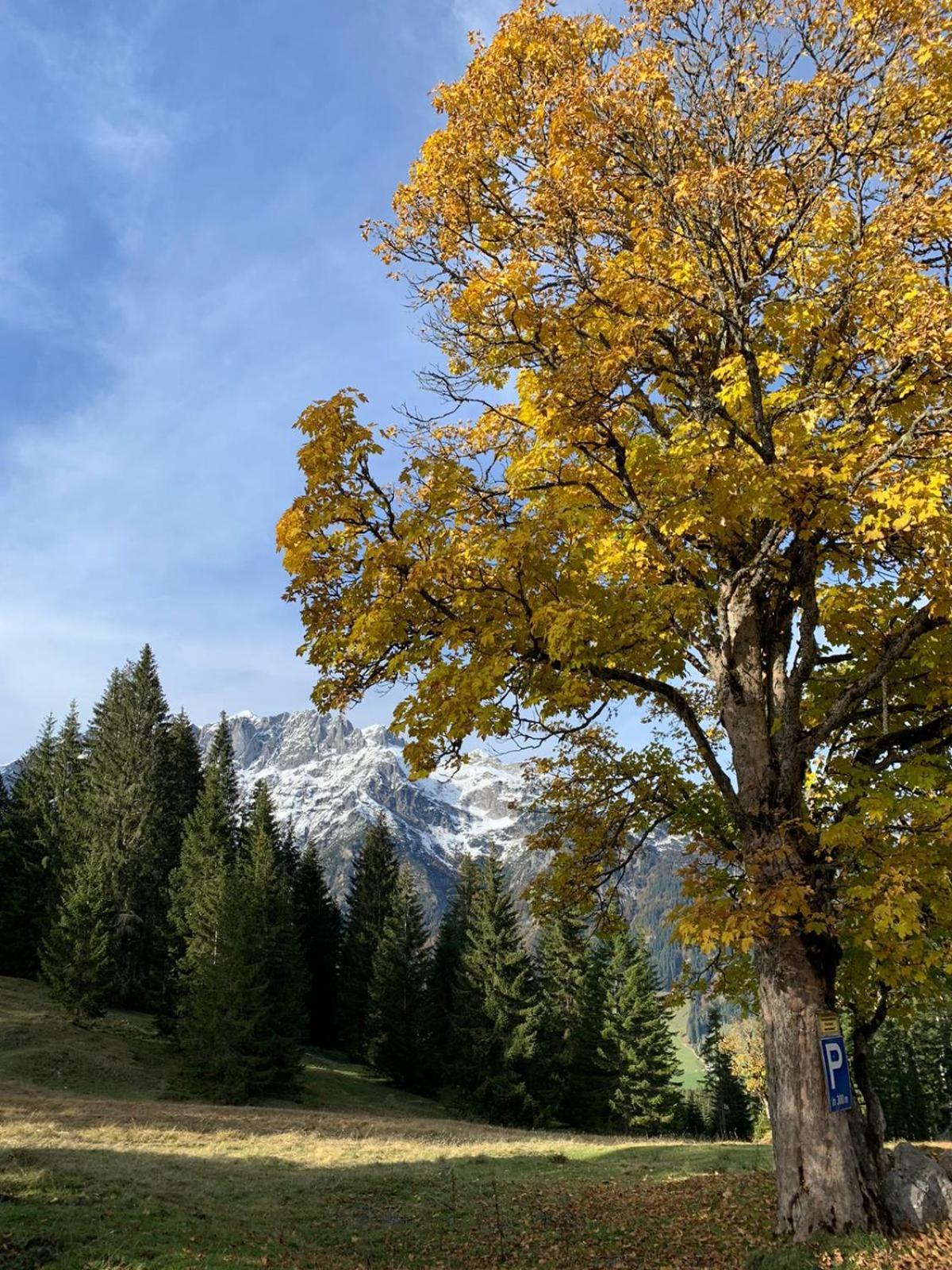 Boutique Hotel Alpenhof Sankt Martin am Tennengebirge Bagian luar foto